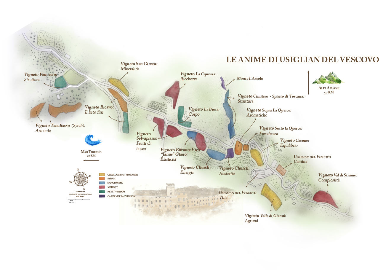 Le Anime di Usiglian del Vescovo: la mappa acquerello dei vigneti